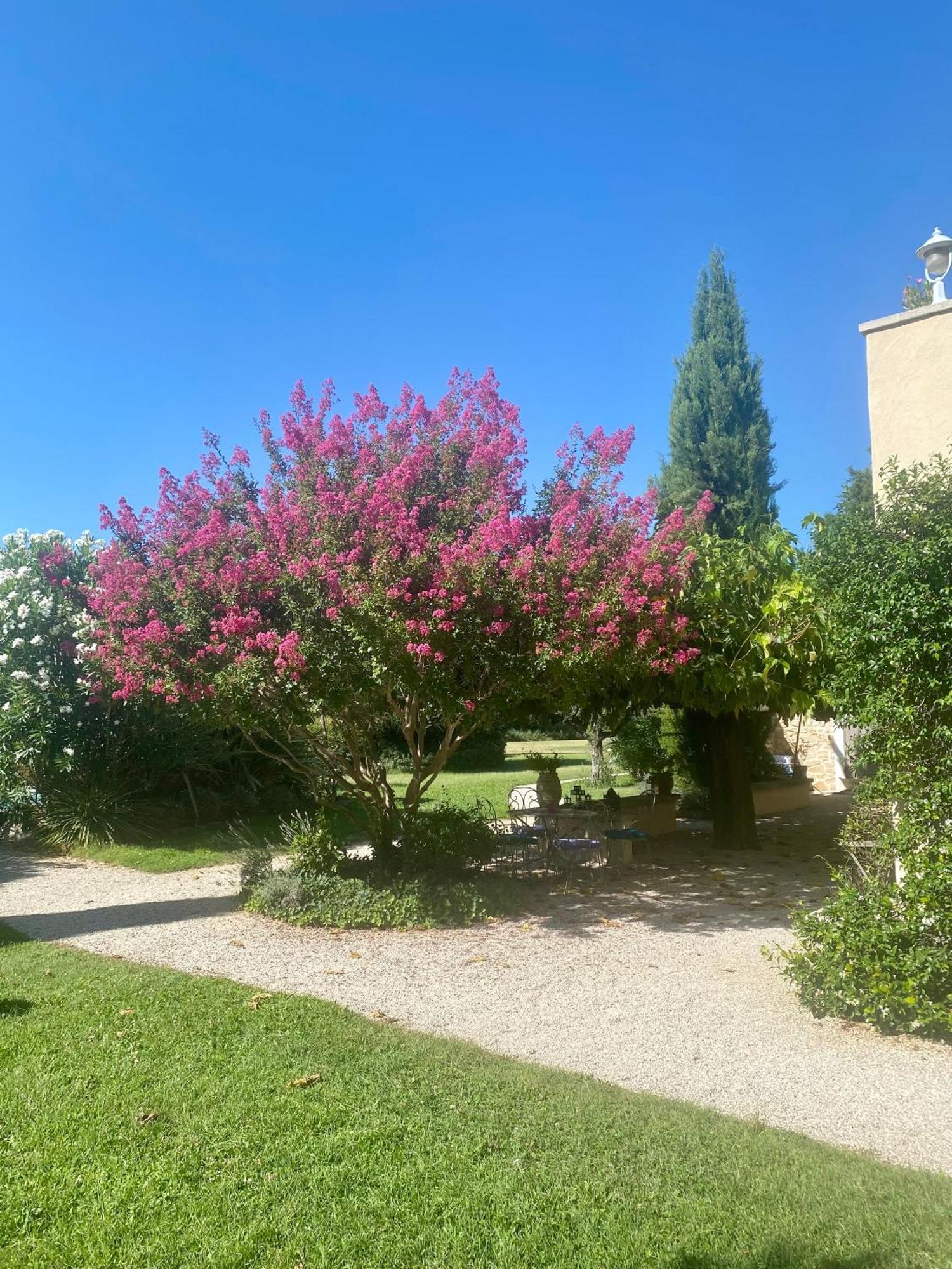 Bed and Breakfast Mas Les Fleurs D'Hilaire Monteux Exterior foto